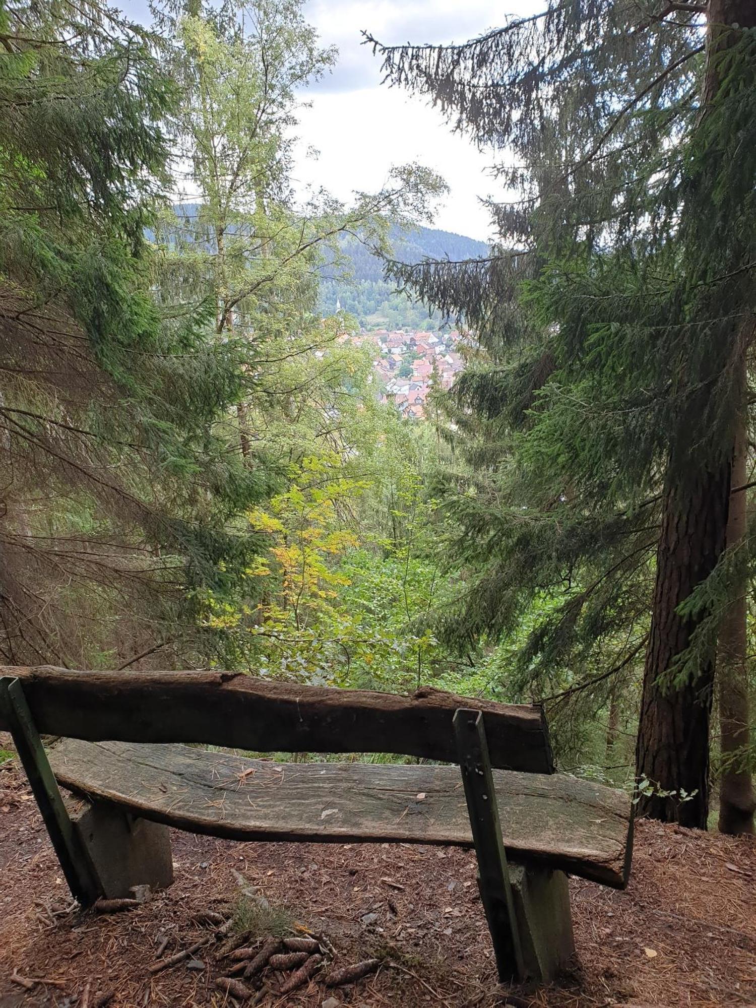 Ferienwohnung Reese- Horstmann Mit Hallenbad Und Sauna, Wlan "Harz Zu Jeder Jahreszeit" Bad Harzburg Ruang foto